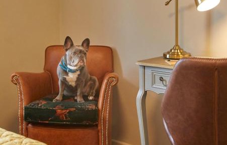 Superior Double or Twin Room with Garden View