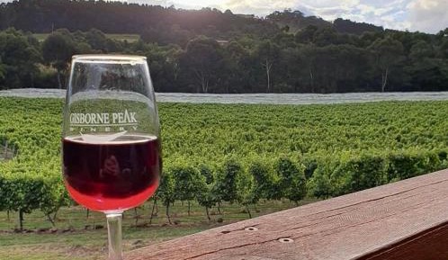 Cottage - Adult Only