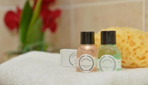 Standard Double Room with View