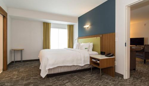 One-Bedroom King Suite with Sofa Bed