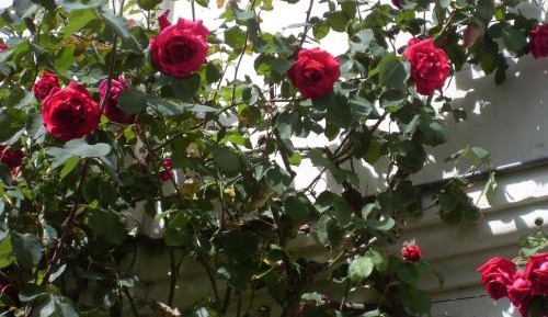 "Pierre de Ronsard" Double Room