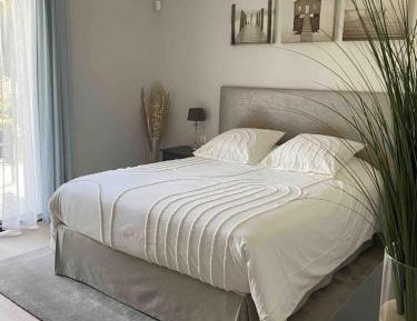 Superior Queen Room