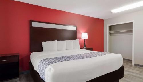 King Suite with Sofa Bed