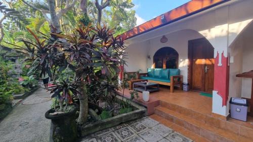 Studio with Terrace