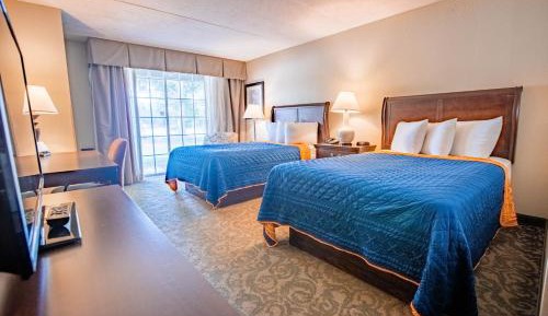 Double Room with Pool View