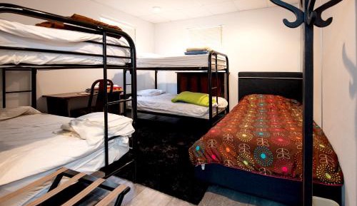 Bunk Bed in Mixed Dormitory Room