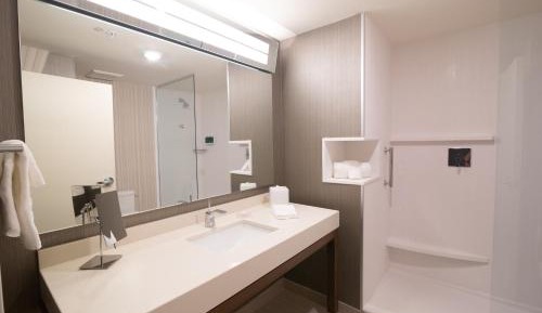 Suite, 1 King, Sofa bed