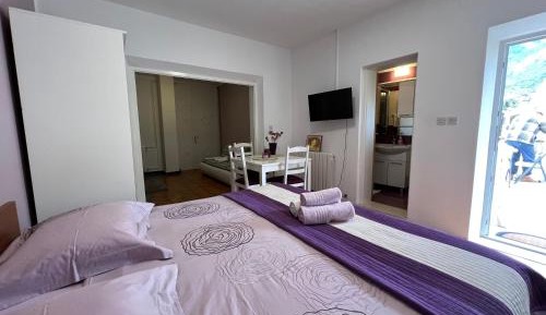 Studio with Terrace