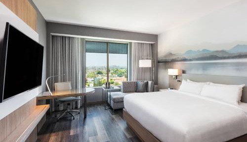 King Room