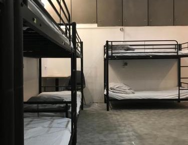 Bed in 10-Bed Mixed Dormitory Room
