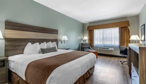 Standard King Room