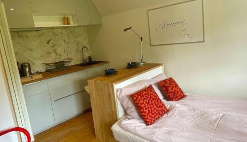 One-Bedroom Apartment with Garden