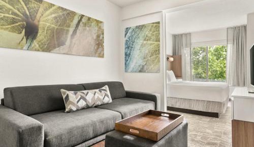 King Studio with Sofa Bed