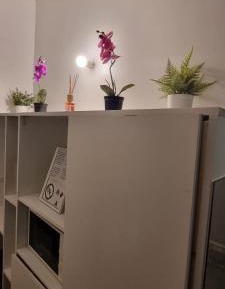 Single Bed in Female Dormitory Room