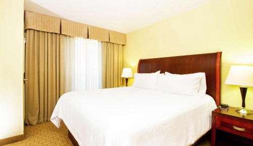 One-Bedroom King Suite with Sofa Bed