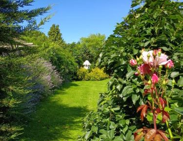 Deluxe Apartment - Disability Access 