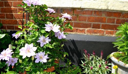 Single Room with Bathroom