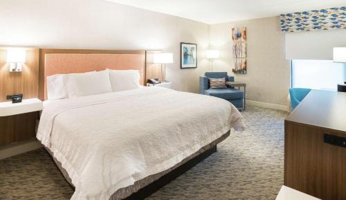 King Room with King Bed - Non-Smoking