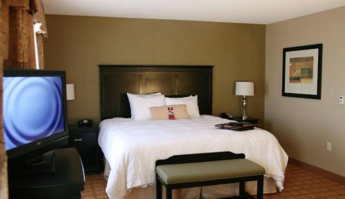 King Room with Sofa Bed - Hearing Accessible/Non-Smoking