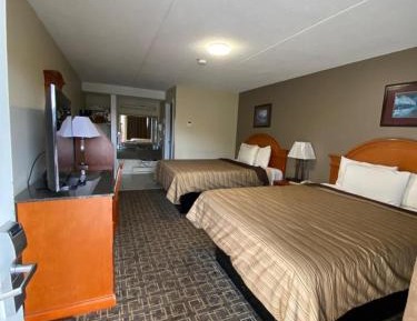 Superior Queen Room