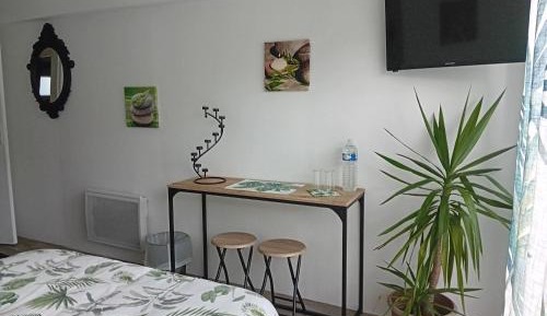 Double Room with Terrace