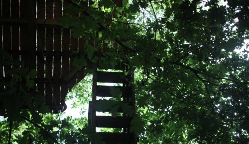 Double Room with Park View