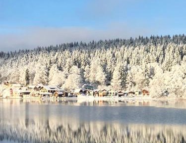 Superior Apartment with Sauna