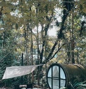 Capsule with Jungle View