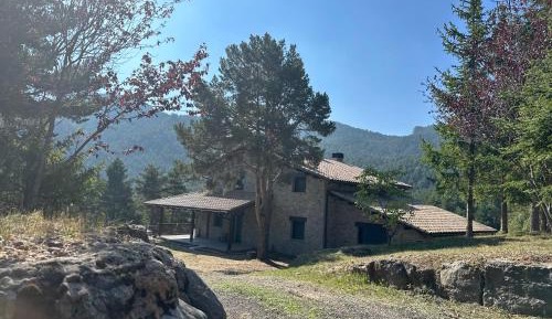 Chalet