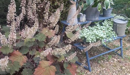 Double Room with Terrace