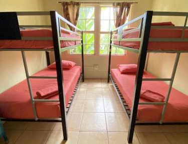 Bed in 4-Bed Mixed Dormitory Room