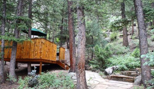 The Black Bear Cabin 8