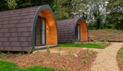 Studio with Garden View