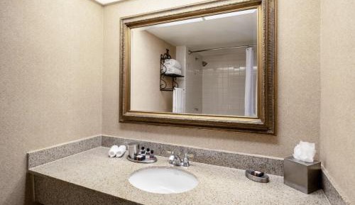 One-Bedroom Presidential King Suite