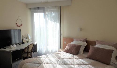 Standard Double or Twin Room with Garden View