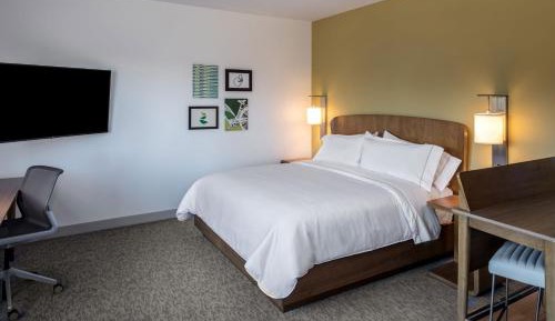 One-Bedroom Queen Studio Suite with Sofa Bed and Tub - Mobility and Hearing Accessible