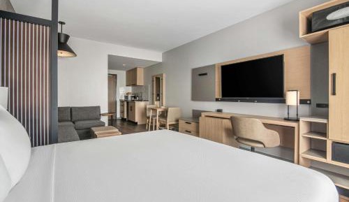 Specialty King Room with Sofa Bed