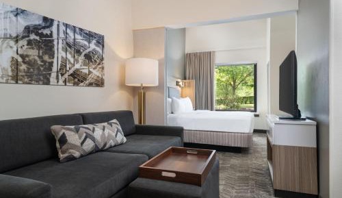King Suite with Trundle Sofa
