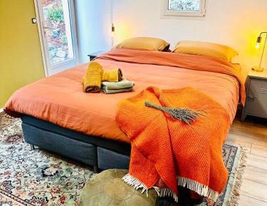 King Room with Mountain View