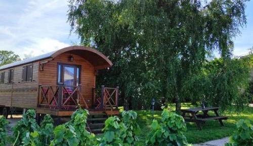 Family Room with Bathroom