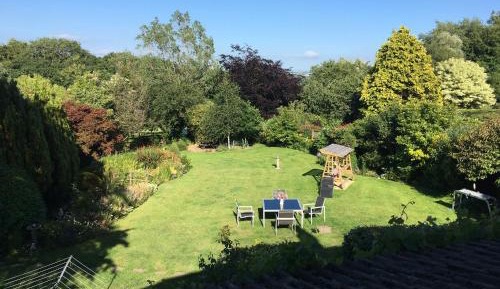 King Room with Garden View