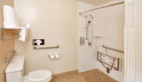 King Room with Roll-In Shower - Disability Access