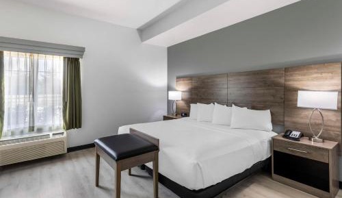 One-Bedroom King Suite with Walk-In Shower and Sofa Bed - Disability/Non-Smoking