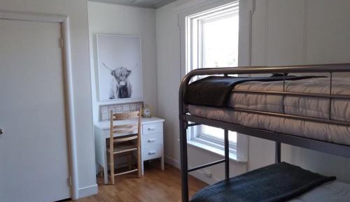 Single Bed in 4-Bed Dormitory Room