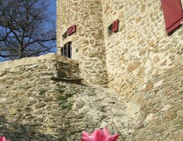 Studio with Garden View