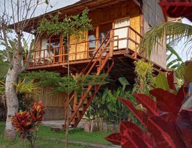 4-Bed Mixed Dormitory Room
