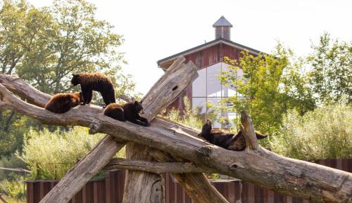 La Grange du Nouveau Monde - Accès au parc et repas inclus 