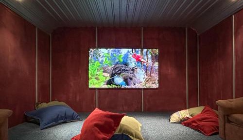 Bed in 8-Bed Mixed Dormitory Room