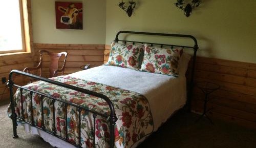 Basic Double Room