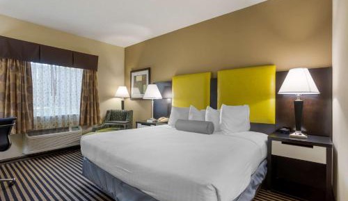 King Room with Roll-In Shower - Disability Access